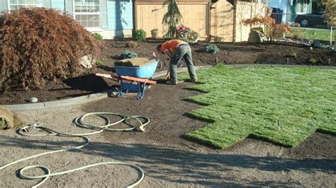 sod asheville|Sod Installation Companies in Asheville, NC